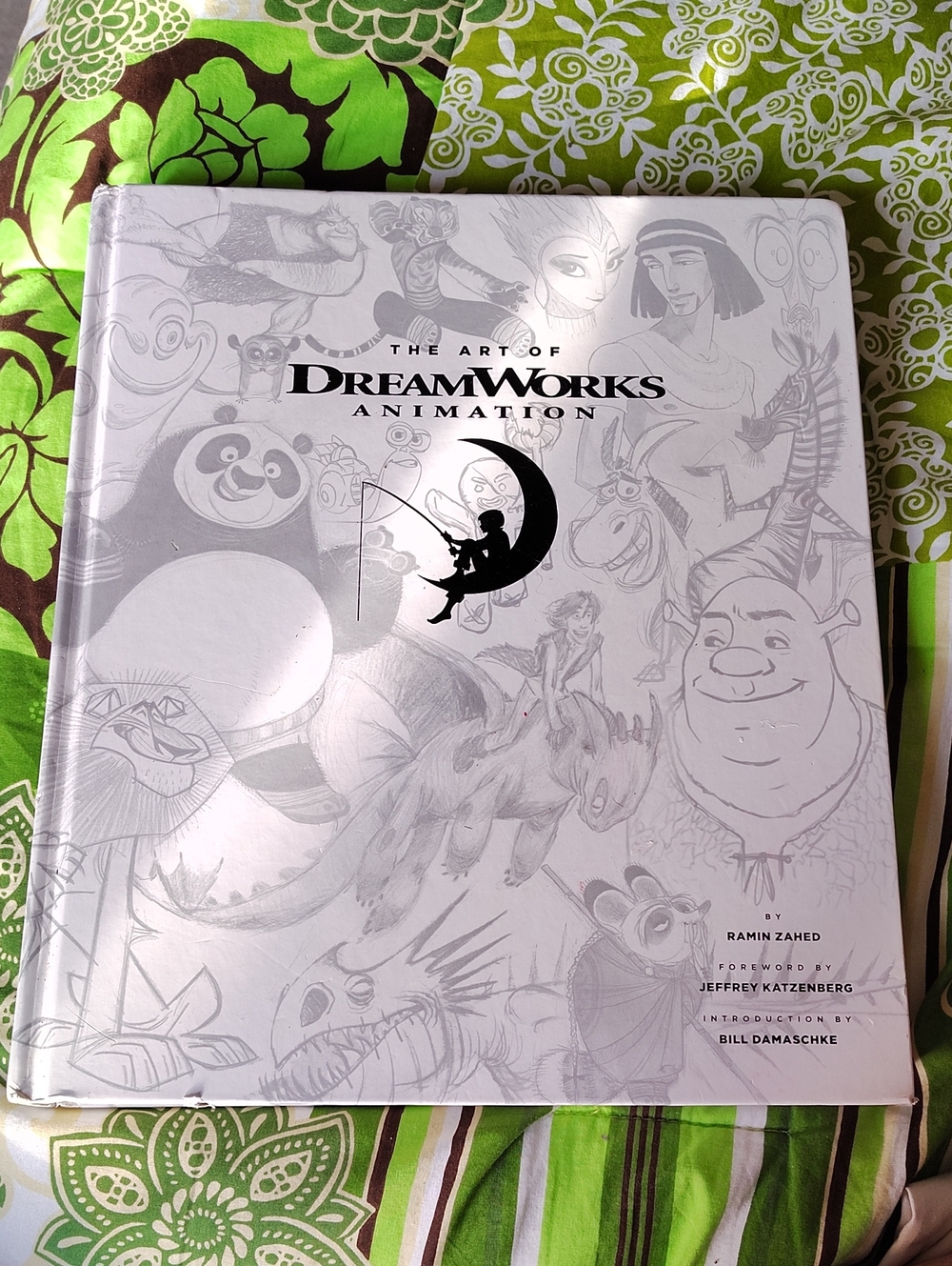 DreamWorks White & Light Gray Hardcover Art Book
